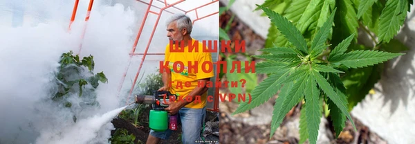 ALPHA PVP Заводоуковск