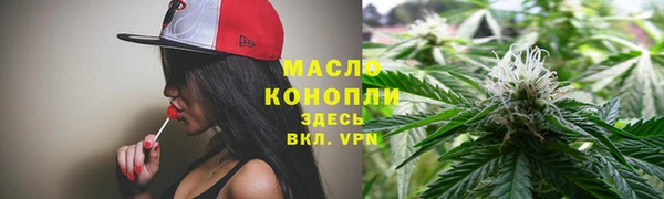 твердый Ельня