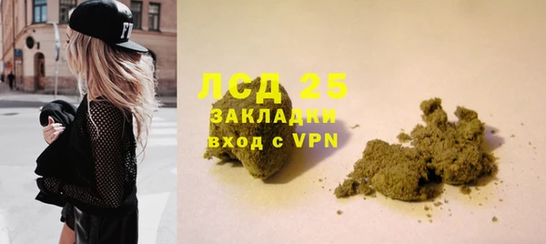 бошки Елабуга