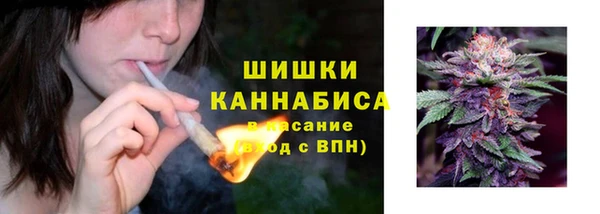 твердый Ельня