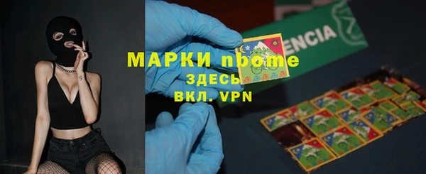 твердый Ельня