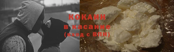 твердый Ельня