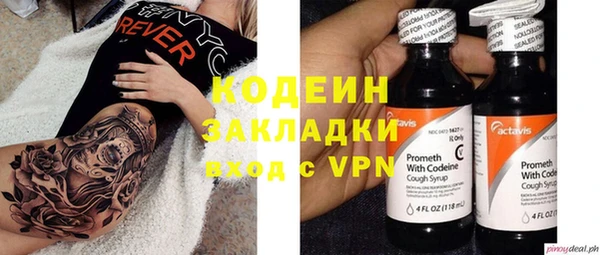 твердый Ельня