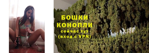 твердый Ельня