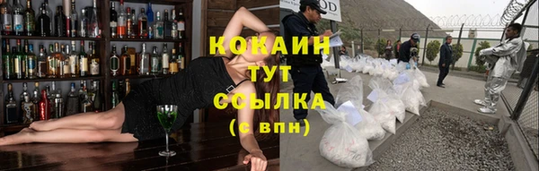 твердый Ельня